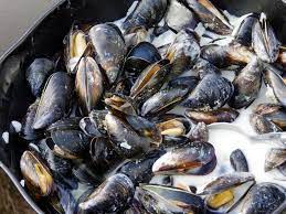Moules A La Creme Et Au Chevre Recette De Moules A La Creme Et Au Chevre
