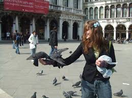 Guvercin Ne Yer Guvercin Yemleri Guvercinler Gen Tr