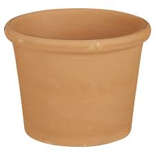 It also contains forest products, sand. Miracle Gro Cactus Palm Citrus Potting Mix 8 Quart Potting Soil Amendments Meijer Grocery Pharmacy Home More