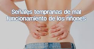 Senales Tempranas De Mal Funcionamiento De Los Rinones Dolor De Rinones Dolor De Rinones Remedios Rinones Enfermos