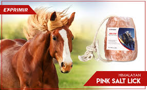 Many prefer not to be picked up, but most accept petting a bunny who licks you or nudges you is asking you to continue what you're doing. Amazon Com Exprimir 6 Lbs Himalayan Salt Lick Natural Minerals Block On Rope For Horses Rabbits Deer Goats Elk Livestock And All Animals Long Lasting Pink Salt Lick 100 Pure