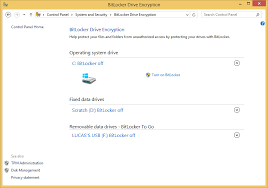 It provides more powerful encryption than some of. Protecting Your Information With Hard Disk Encryption What You Need To Know Emsisoft Security Blog