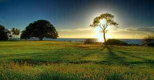 Lukisan pemandangan laut dimana di langit ad. 13 Wallpaper Pemandangan Kartun Hd Ada Macam Macam Tema Wallpaper Yang Tersedia Disini Seperti Wallpaper Pemand Pemandangan Pemandangan Anime Fotografi Alam