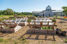 Try to avoid buying them on very cold days, below 20 degrees, because it will be harder to. Buying Time Extend Your Garden S Growing Season With A Cold Frame Urban Organic Gardener