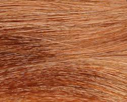 Ion Color Brilliance 8rc Light Copper Blonde Copper Blonde Liquid Hair Ion Color Brilliance