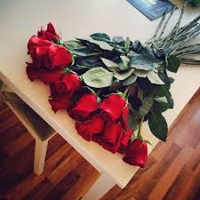 Vous aimerez particulièrement la rose 'arlequin', zébrée en rouge et blanc. Pwar Via Tumblr Image 2638609 On Favim Com