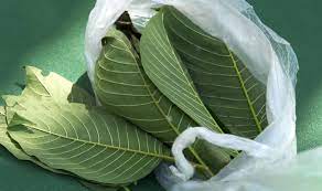 Freshness makes quality and this is the authentic kratom difference. Wy7ydi Qqhc Hm