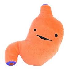 Stomach Plush Lifesize I Ache For You Ptst 17 00 I Heart Guts Love Y