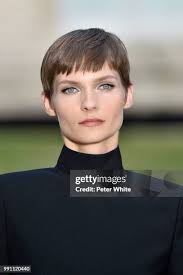 3,973 Wolter Stock Photos, High-Res Pictures, and Images