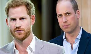 Hoàn cảnh trái ngược của hai Hoàng tử Anh: Người ngày một thăng tiến, địa  vị được củng cố, người rũ bỏ dòng họ và phải chôn chân một chỗ