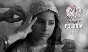 Muy diversa, la oferta del Festival Internacional de Cine de Guanajuato:  Sarah Hoch