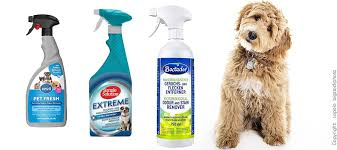Doch die schnüffelnasen riechen den im harn enthaltenen ammoniak weiterhin. Die 5 Besten Hunde Urin Reiniger Fur Doodle Hunde Doodle Hunde