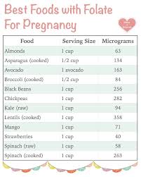 Folate Rich Foods Chart For Pregnancy Little Kids