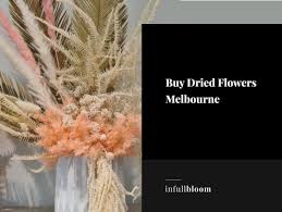 Where to get cheap flowers melbourne. Buy Dried Flowers Melbourne