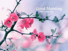 If you're skilled with floral designs or gardening, have strong interpersonal skills, and a good business sense, opening a flower shop could be a good future for you. Good Morning Beautiful Nature