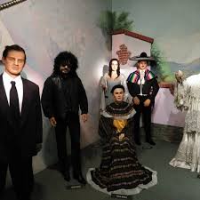 Image result for Maerua cerasicarpa