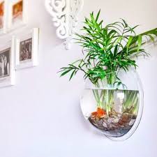 Accueil Aquarium Mural Deco Plantes Decoration Plante