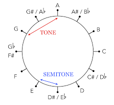 Tones And Semitones Justinguitar Com