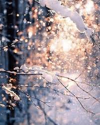 42 Beautiful Winter Images Winter Image Winteraesthetic Winter Christmasimage Winter Aesthetic Winte Winter Wallpaper Winter Images Fairy Lights In Trees