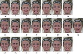 1225 x 1600 jpeg 266 кб. Compound Facial Expressions Of Emotion Pnas