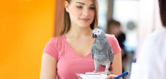 States beginning with the letter d. Balboa Pet Hospital Vet In San Francisco Ca Call Us 415 752 3300