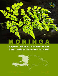 SFA Moringa Study