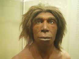 View neanderthaler research papers on academia.edu for free. Seks Tussen Mens En Neanderthaler Nemo Kennislink
