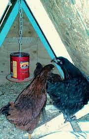 Hanging Coffee Can Chicken Feeder Plastic Coffee Cans Chicken Feeder Diy Chicken Feeder