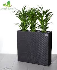 Gartenfreude Pflanzkubel Raumteiler Polyrattan Inkl 3 Kunststoffeinsatze Fur Innen Und Aussen Anthrazit 76x26x73cm Bxtxh Pflanzkubel Pflanzgefasse Pflanzen