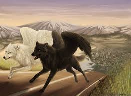 Anime Black And White Wolf With Wings Pin Von Echo Bravo Auf With Wings Fantasy Tiere Verliebte Wolfe Wolf Hunde