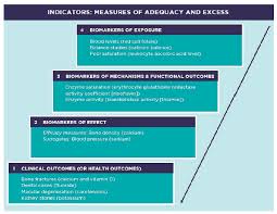 2 the current process to establish dietary reference intakes