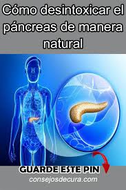 Como Desintoxicar El Pancreas De Manera Natural El Pancreas Dolor De Pancreas Jugos Para Desintoxicar