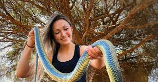 Sterrin is a dutch ecologist and herpetologist. Superhelden Van Het Dierenrijk Sterrin Smalbrugge Theater Koningshof