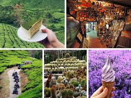 Sedikit info untuk semua yang nak balik dari cameron highland esok, jangan lupa singgah ke avant chocolate on the way keluar ke simpang pulai. 13 Tempat Wajib Singgah Di Cameron Highland Remaja