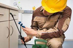 Residential and commercial pest control services for massachusetts and new hampshire. D O A Pest Control Llc Pest Mitigation San Antonio Tx