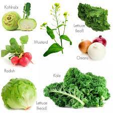 How To Grow And Use Fall Veggies Fall Veggies Fall Vegetables Autumn Garden