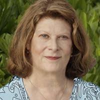 The Silver Mark (Crow Investigations #2) by Sarah Painter