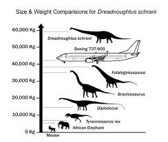 Huge Dinosaur Heavier Than A Boeing 737 Discovered Largest
