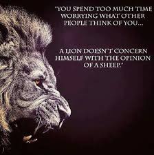 Pin By Greg Gaines On Life Sheep Quote Lion Quotes Lion