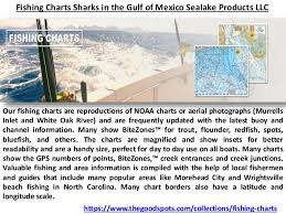 Fishing Charts Sharks In The Gulf Of Mexico Sealake Products Llc