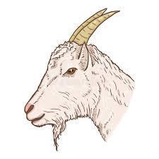 Cartoon Goat Head Stock Illustrations 3 255 Cartoon Goat Head Stock Illustrations Vectors Clipart Dreamstime Goat wallpapers, backgrounds, images— best goat desktop wallpaper sort wallpapers by: cartoon goat head stock illustrations