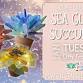 Sea Glass Succulent Workshop - Mr Toad's Pottery, 1313 National Hwy # 14 Event Image