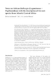 Image result for Dalbergia acutifoliolata