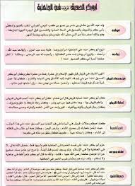 أبى بكر الصديق رضى الله عنه 8 1