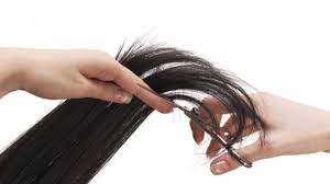 قبل البدأ في خطوات زراعة البطيخ الأحمر سنقوم بعمل نبذة تعريفية بسيطة عن البطيخ. Ù‚Øµ Ø§Ù„Ø´Ø¹Ø± Ø¨Ø®Ø·ÙˆØ§Øª Ø³Ù‡Ù„Ø© ÙÙŠ Ø§Ù„Ù…Ù†Ø²Ù„ Ù…Ø¬Ù„Ø© Ø³ÙŠØ¯ØªÙŠ