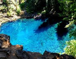 Maybe you would like to learn more about one of these? Tamolitch Blue Pool Mckenzie River Oregon Trevor We Are Checking This Out Next Time Oregon Travel Explore Oregon Oregon Road Trip