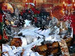 In olanda, episcopul calatoreste pe un vapor si soseste pe 5 decembrie. Saint Nickolas S Story Good Morning Coffee Gif Old Christmas Good Morning Coffee