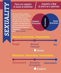 Sekian ulasan dan penjelasan mengenai aplikasi sexually fluid vs pansexual full body semoga dapat memabantu dan menyenangkan. Pin On Importante