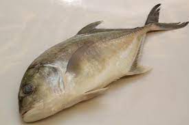 Maybe you would like to learn more about one of these? Kamus Ikan Bolehlah Tunjuk Handal Depan Mak Mertua Nanti Makanan Resipi Explorasa Forum Cari Infonet