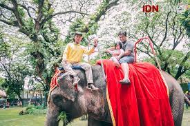 We did not find results for: 31 Potret Terkini Kebun Binatang Surabaya Makin Keren Gak Ya